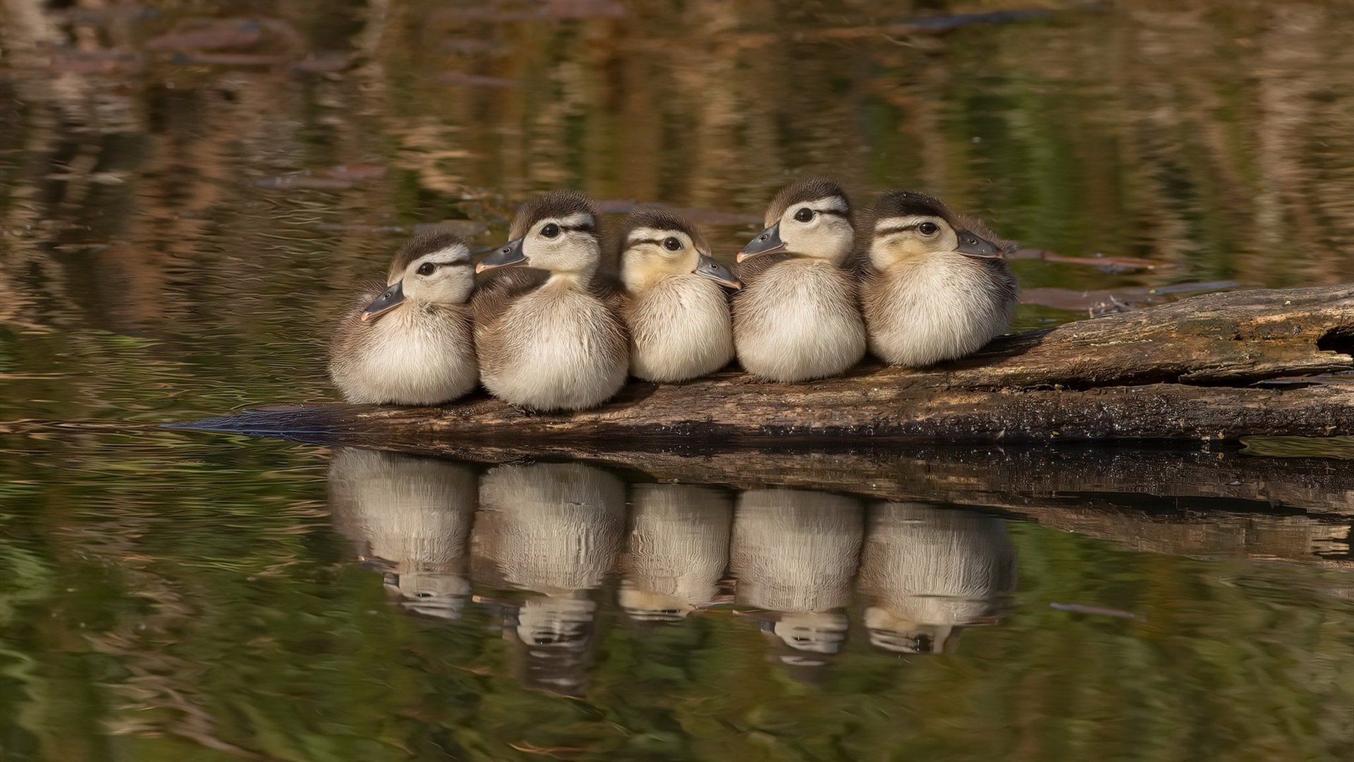 国际合作：多国选手共聚一堂比拼技艺，国际合作有什么好处