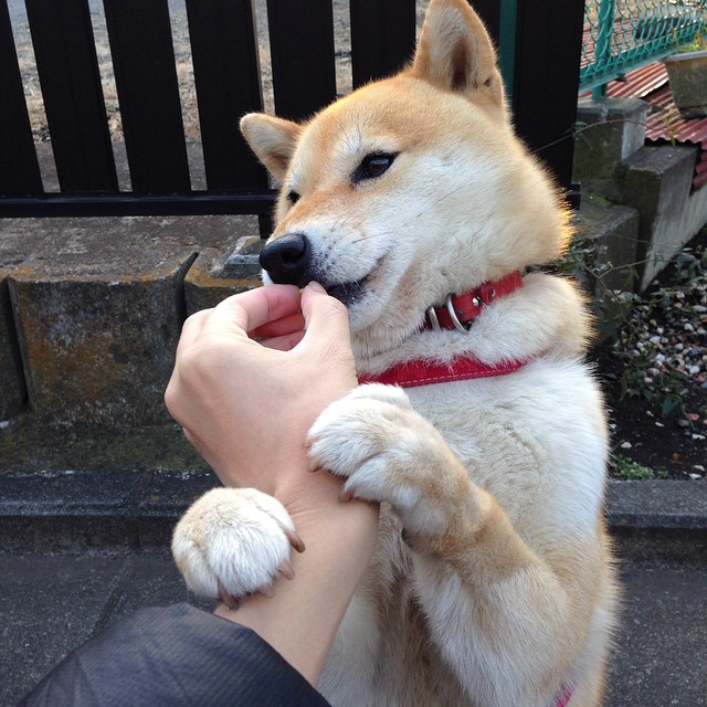 九游游戏中心官网-_城市迷宫跑：用脚步探索都市秘密角落_，城市迷途